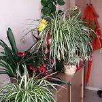Apartamento Silvana